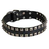 Tremendous Studded Leather Siberian Husky Collar for Walking and Training