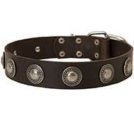 Fabulous Leather Siberian Husky Collar with Hand Set Silver Conchos