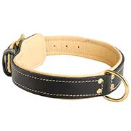Nappa Padded Leather Siberian Husky Collar for Walking and Training with Comfort