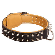 Gorgeous Nappa Padded Leather Siberian Husky Collar with Nickel Spikes