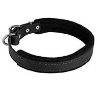 Padded Leather Siberian Husky Collar for Dog Attack Training