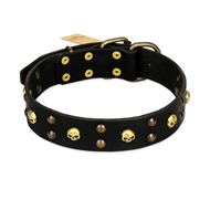 FDT Artisan 'Heavy Metal' Leather Siberian Husky Collar with Skulls and Studs 1 1/2 inch (40 mm)
