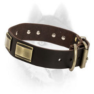 Luxury Leather Collar with Brass Plates for Siberian Husky
