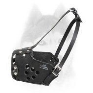 Military Leather Siberian Husky Muzzle