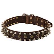 Spiked and Studded Leather Siberian Husky Collar for Fashionable Walking