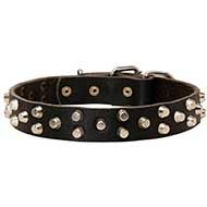 Fashion Leather Siberian Husky Collar with Studs / Pyramids