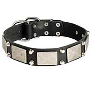 Exclusive Leather Siberian Husky Collar with Nickel Plates and Pyramids