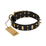 'Medieval Style' FDT Artisan Leather Siberian Husky Collar with Brass Plates and Spikes