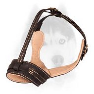 Luxury exclusive easy wearing leather Siberian Husky muzzle