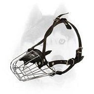 Perfect for all seasons wire basket muzzle for Siberian Husky