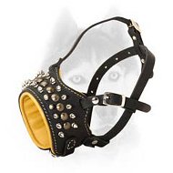 Fashionable leather muzzle with spikes and studs for your Siberian Husky
