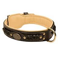 Nappa Padded Leather Siberian Husky Collar - Exclusive Design