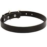 Exclusive Leather Siberian Husky Collar for Dog Walking