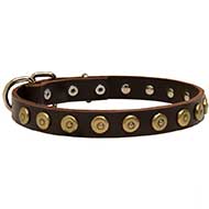 Modish Leather Siberian Husky Collar with Brass Dotted Circles