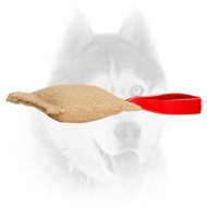 Siberian Husky Strong Jute Bite Dog Tag for Puppy Training
