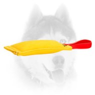 Dog-Friendly French Linen Siberian Husky Bite Tug for Bite Work