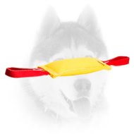 Siberian Husky Sturdy French Linen Dog Bite Tug