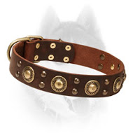 Adorable Leather Dog Collar with Brass Fittings