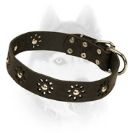 Studded Leather Dog Collar