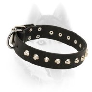Comfy elegant leather Siberian Husky collar with cones