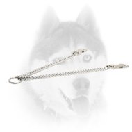 Chrome Plated Siberian Husky Coupler for Walking 2 Dogs