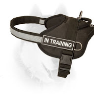 Excellent quality nylon reflective Siberian Husky harness  Excellent quality nylon reflective Siberian Husky harness