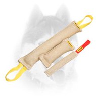 Siberian Husky Jute Bite Tugs Training Set