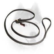 Siberian Husky Anywhere Fast Handling leash choke collar combo