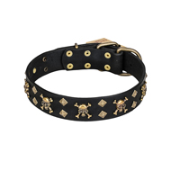 'Jolly Rojer' FDT Artisan Siberian Husky Leather Dog Collar with Pirate Skulls and Studs - 1 1/2 inch (40 mm) wide
