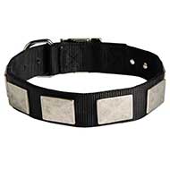 Water Resistant Nylon Siberian Husky Collar with Massive Plates