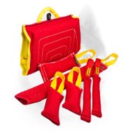 Siberian Husky Puppy Training Set for Efficient Training