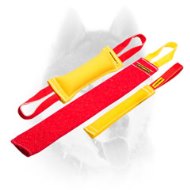 Puppy Training Set for Fun Training