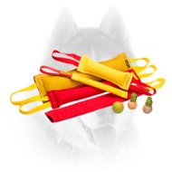 Multitask dog training set for Siberian Husky