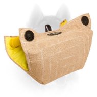 Perfect Puppy Bite Builder for Siberian Husky Puppies