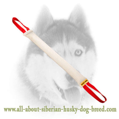 Fire Hose Bite Tug with Two Handles for Siberian Husky