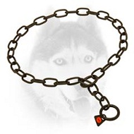 Black Stainless Steel Dog Choke Collar for Siberian Husky - 1/8 inch (3 mm)