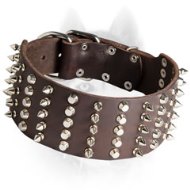 Leather Siberian Husky Collar with Nickel Pyramids and Spikes