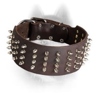 Spiked Leather Siberian Husky Collar 3 Inch Wide