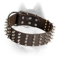 2 Inch Wide Leather Spiked Dog Collar for Siberian Husky