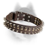 Unbelievable Leather Collar for Siberian Husky