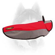 Gorgeous and extra warm winter proof Siberian Husky coat