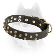 Decorated leather Siberian Husky collar with symmetrical brass pyramids