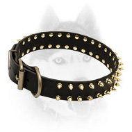 Stylish and elegant leather Siberian Husky collar with spikes
