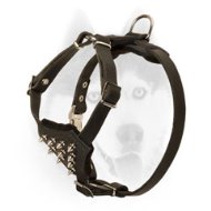 Maximum Control and Reliability Leather Puppy Harness with Spiked Delicate Chest