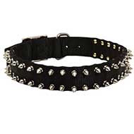 All Weather Nylon Siberian Husky Collar with Nickel Spikes