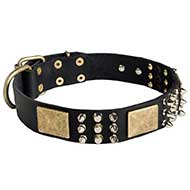 Luxury Leather Spiked and Studded Siberian Husky Collar with Brass Plates