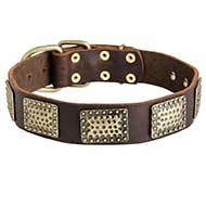 Gorgeous Leather Siberian Husky Collar with Hammered Brass Plates
