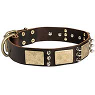 Handmade Leather Siberian Husky Collar with Brass Plates and Nickel Spikes