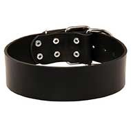 Very Wide Leather Siberian Husky Collar for Everyday Use
