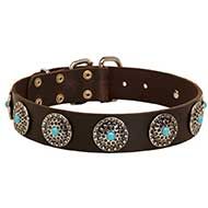 Gorgeous Leather Siberian Husky Collar with Silver Plated Circles and Blue Stones